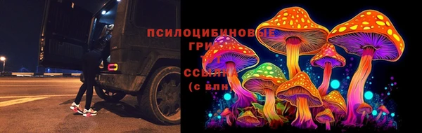 Альфа ПВП Нефтегорск