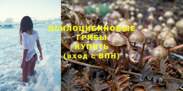 тгк Нефтекумск