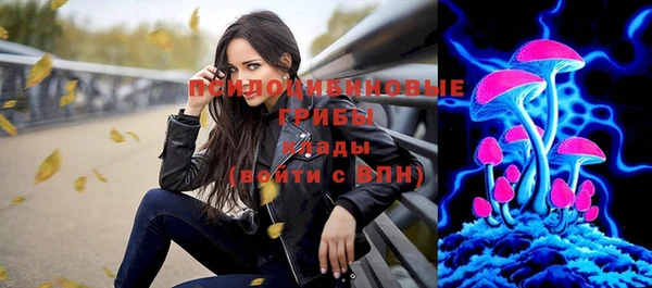 стаф Надым