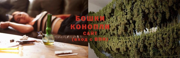 стаф Надым