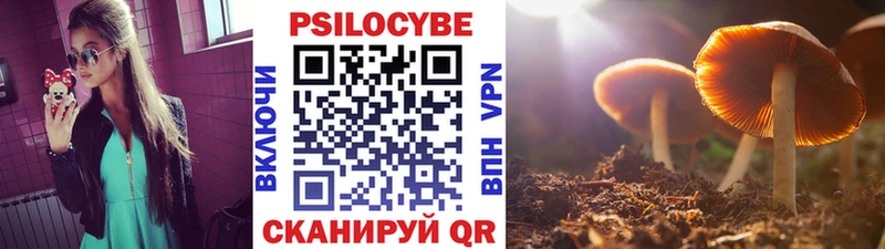 Псилоцибиновые грибы Psilocybe  Соликамск 