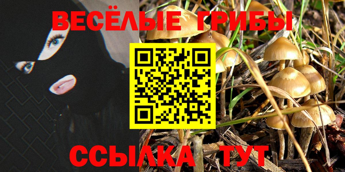 Галлюциногенные грибы мухоморы Соликамск