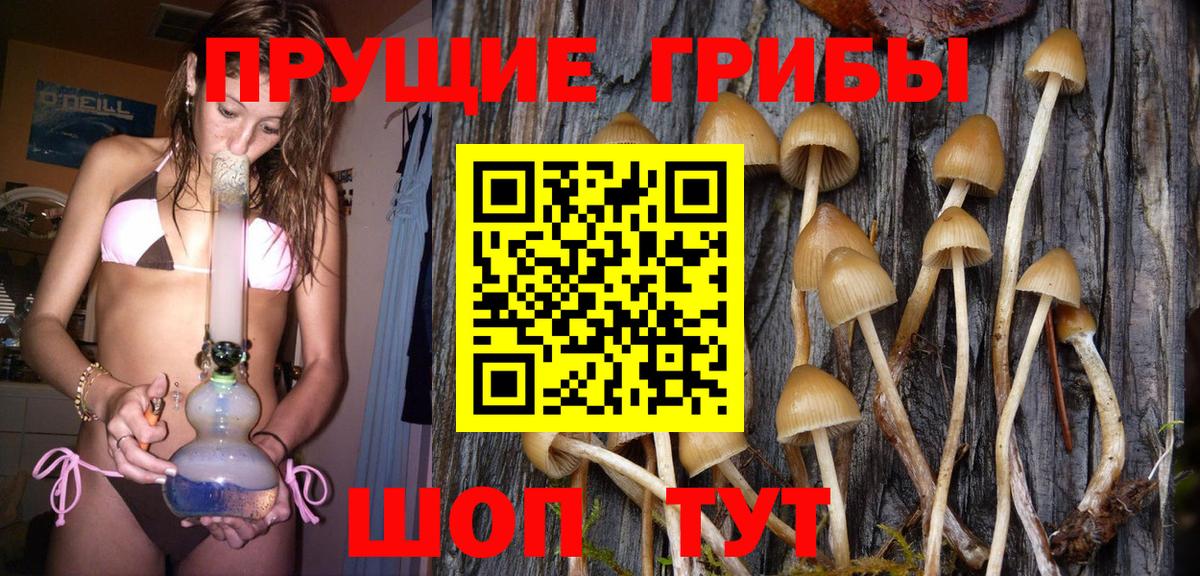 Соликамск  Галлюциногенные грибы Psilocybine cubensis  Вход с VPN 