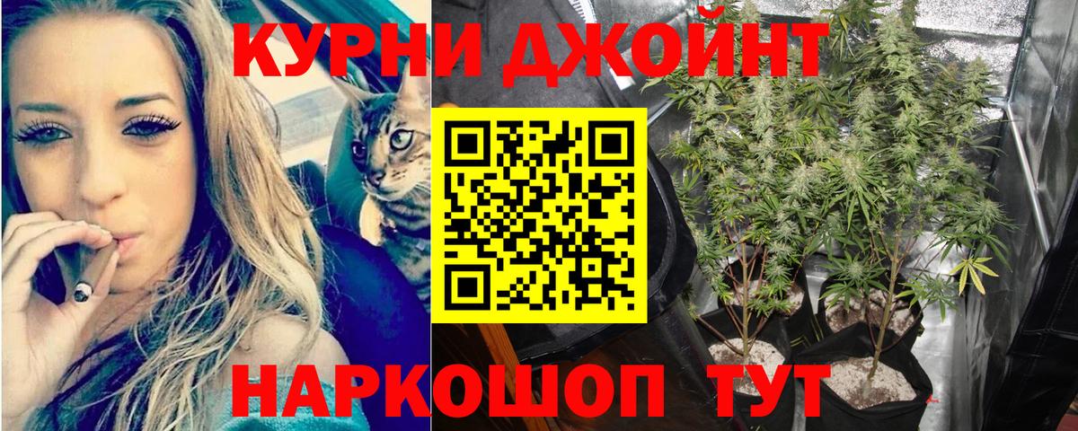 Каннабис MAZAR Соликамск